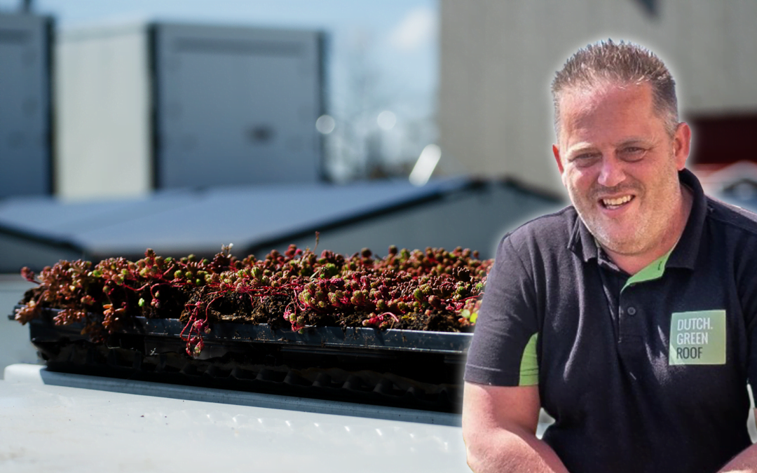 Dutch Greenroof: un almacén más ecológico